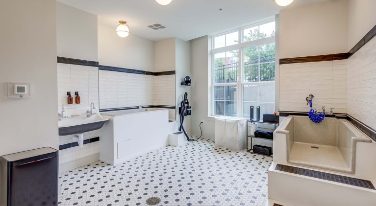Bathroom 3 768x421