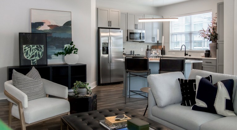 Living room plus kitchen 768x421