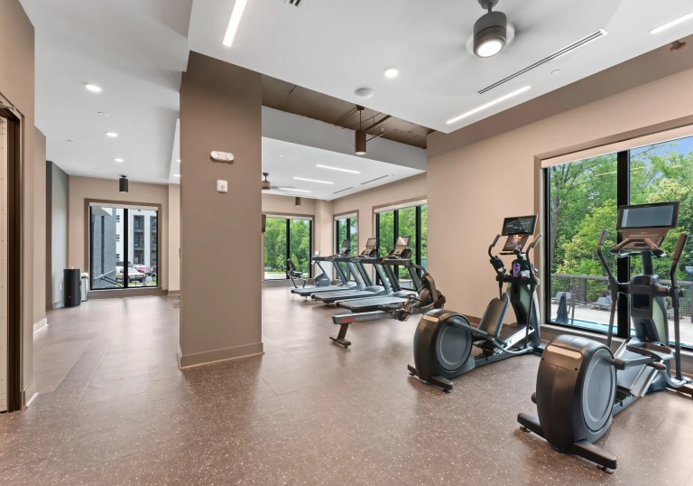 gym 768x538
