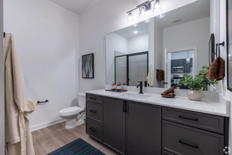 the millwright cornelius nc 1br 1ba 807sf bathroom ardkl7 768x512