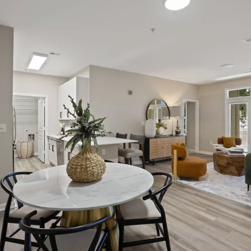 Dining LivingRoom iorlzv